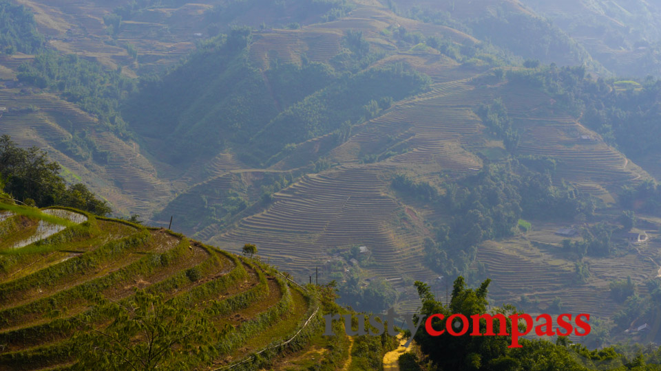 Sapa's rice terraces. Cable car coming soon!